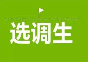 大公教育 濮陽軍轉(zhuǎn)干考試技術(shù)推廣服務(wù)，助力退役軍人成功轉(zhuǎn)型